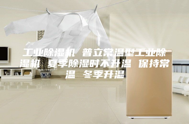 工业除湿机 普立常温型工业除湿机 夏季除湿时不升温 保持常温 冬季升温