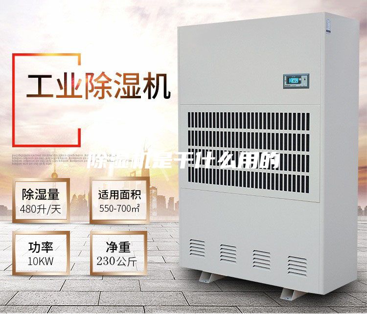 除湿机是干什么用的