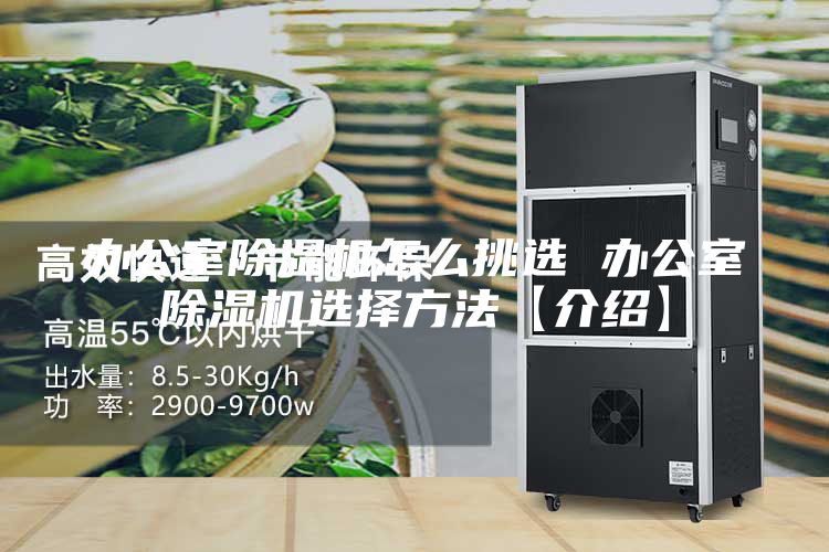 办公室除湿机怎么挑选 办公室除湿机选择方法【介绍】