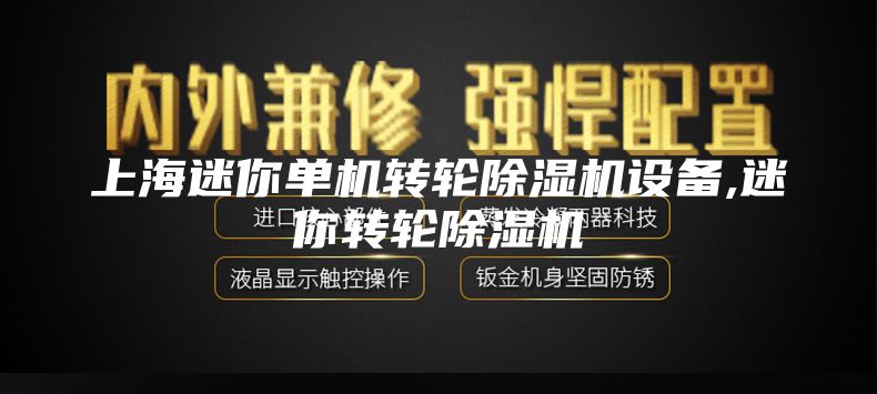 上海迷你单机转轮除湿机设备,迷你转轮除湿机
