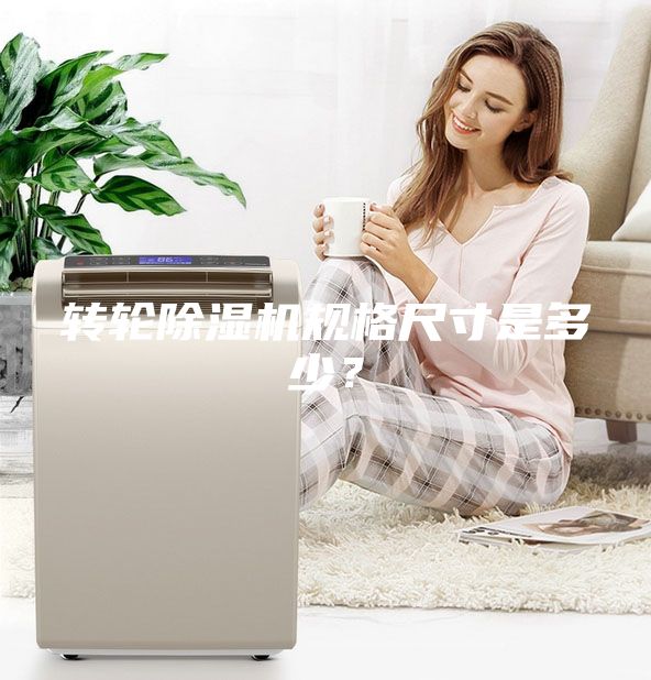 转轮除湿机规格尺寸是多少？