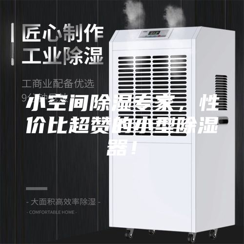 小空间除湿专家，性价比超赞的小型除湿器！