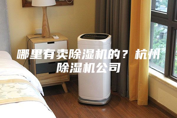 哪里有卖除湿机的？杭州除湿机公司