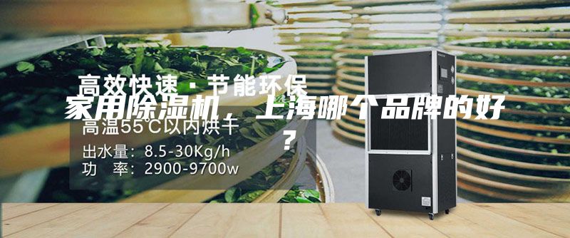 家用除湿机，上海哪个品牌的好？