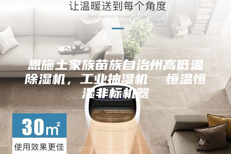 恩施土家族苗族自治州高低温除湿机，工业抽湿机  恒温恒湿非标机器