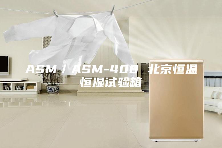 ASM／ASM-408 北京恒温恒湿试验箱