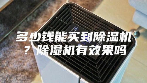 多少钱能买到除湿机？除湿机有效果吗