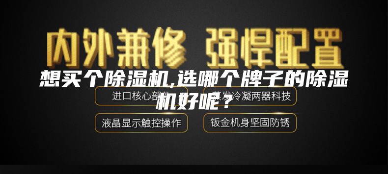 想买个除湿机,选哪个牌子的除湿机好呢？