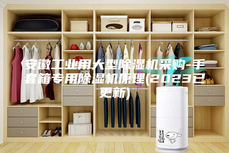 安徽工业用大型除湿机采购-手套箱专用除湿机原理(2023已更新)