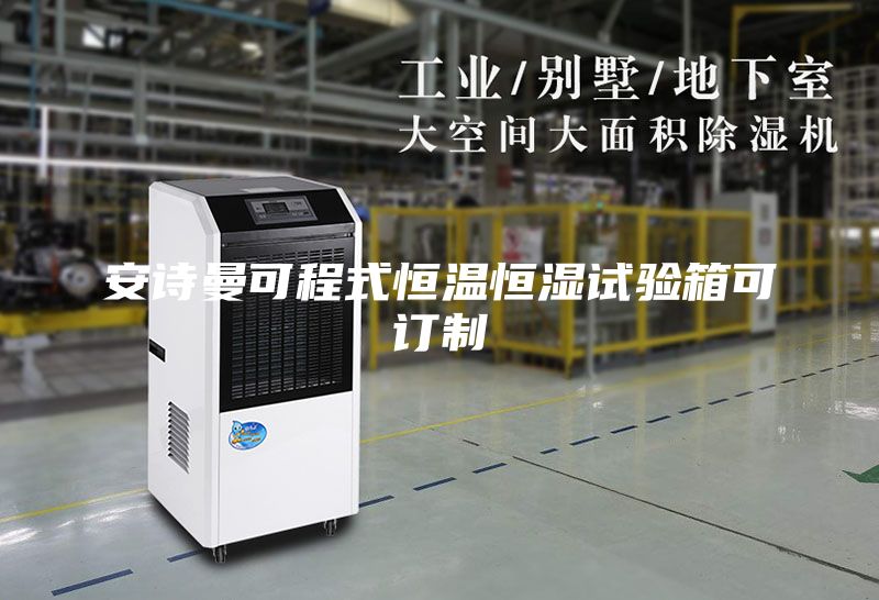 安诗曼可程式恒温恒湿试验箱可订制