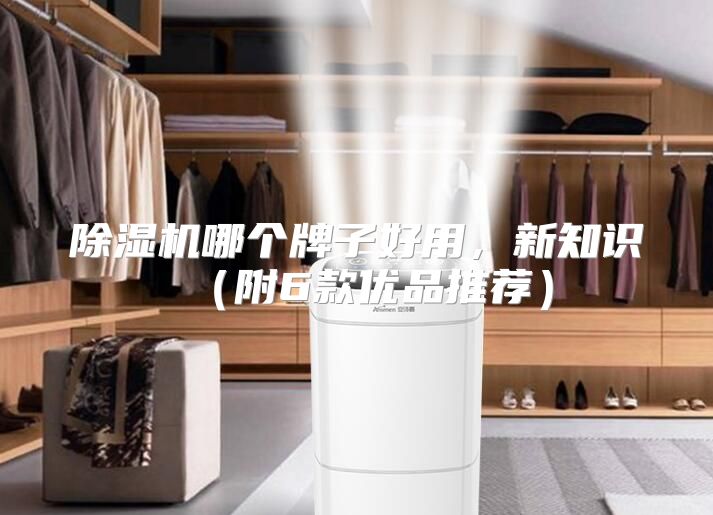除湿机哪个牌子好用，新知识（附6款优品推荐）