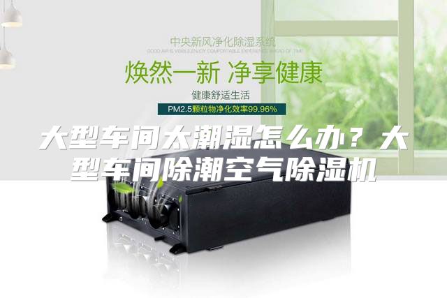 大型车间太潮湿怎么办？大型车间除潮空气除湿机