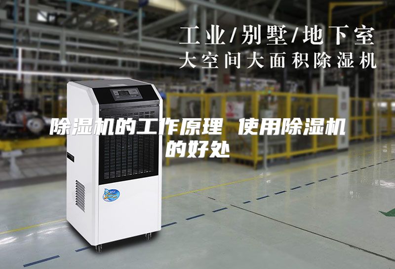 除湿机的工作原理 使用除湿机的好处