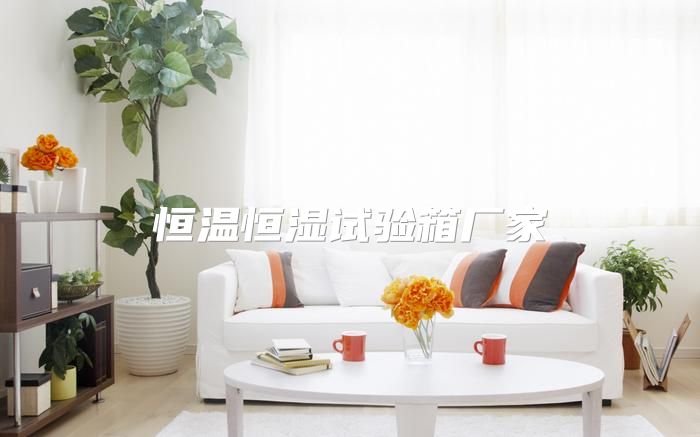 恒温恒湿试验箱厂家