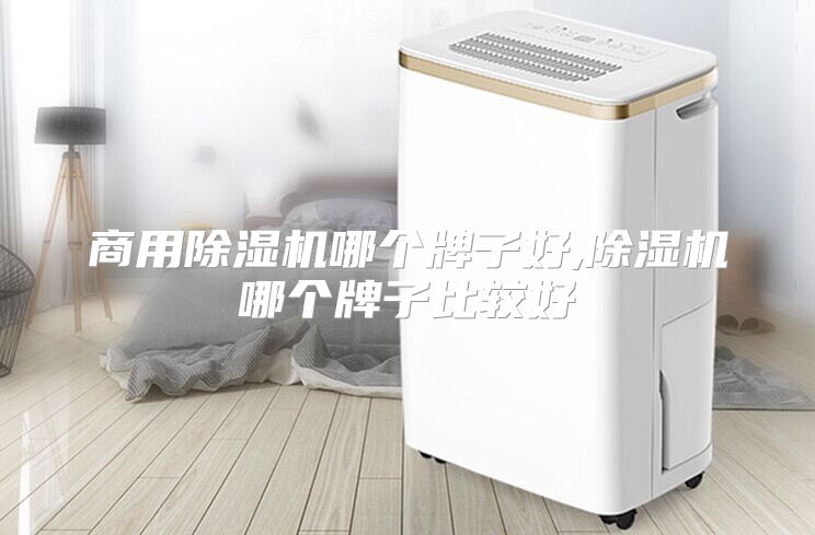 商用除湿机哪个牌子好,除湿机哪个牌子比较好