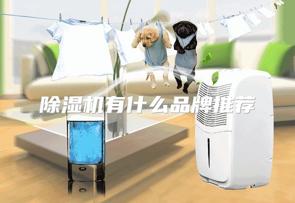除湿机有什么品牌推荐