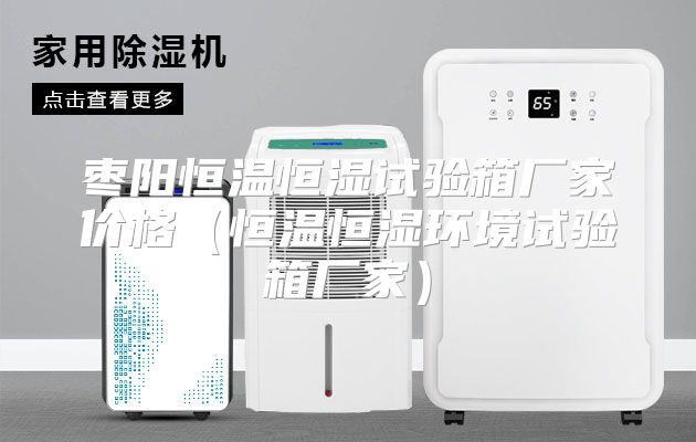 枣阳恒温恒湿试验箱厂家价格（恒温恒湿环境试验箱厂家）