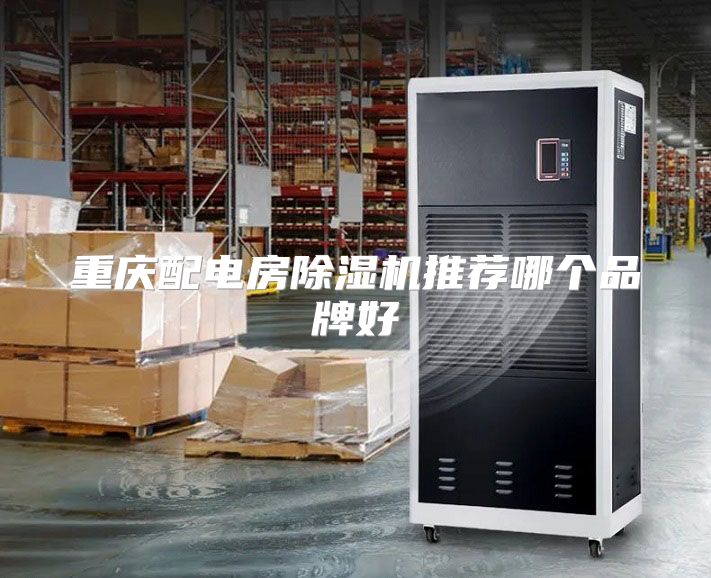 重庆配电房除湿机推荐哪个品牌好
