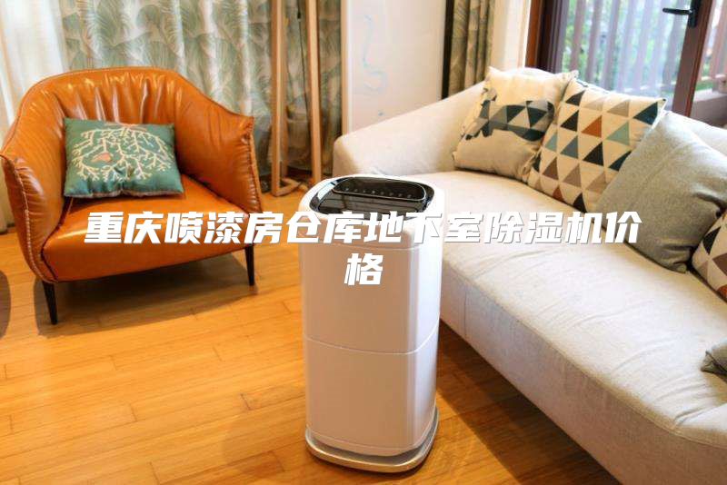 重庆喷漆房仓库地下室除湿机价格