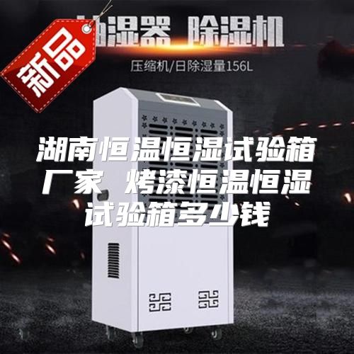 湖南恒温恒湿试验箱厂家 烤漆恒温恒湿试验箱多少钱