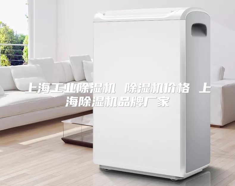 上海工业除湿机 除湿机价格 上海除湿机品牌厂家
