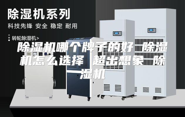 除湿机哪个牌子的好 除湿机怎么选择 超出想象 除湿机