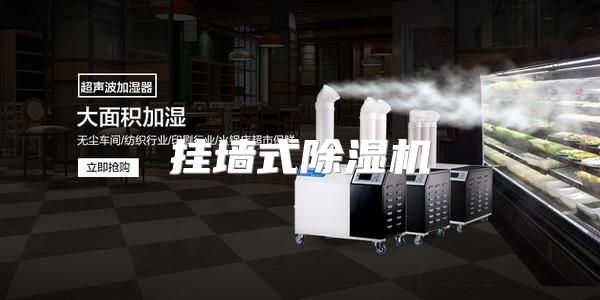 挂墙式除湿机
