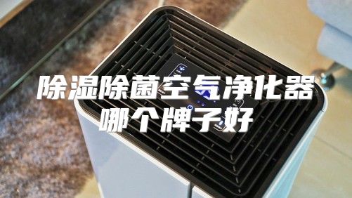 除湿除菌空气净化器哪个牌子好