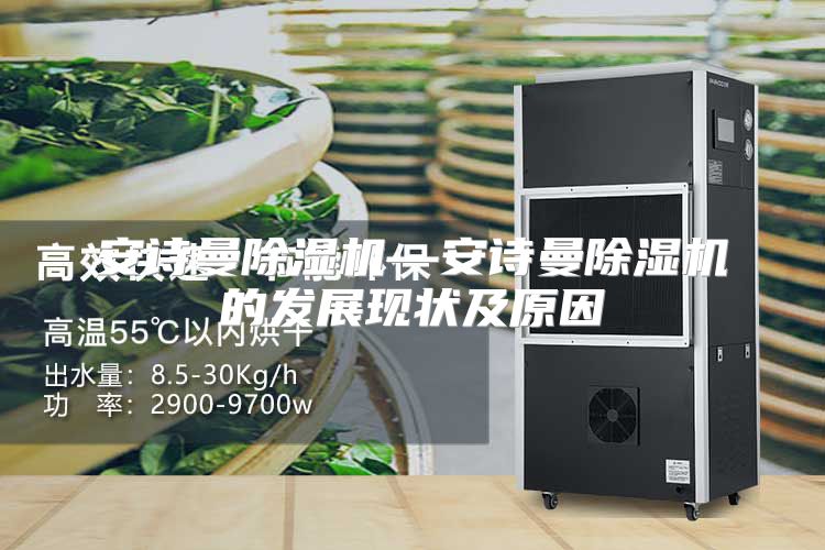 安诗曼除湿机—安诗曼除湿机的发展现状及原因