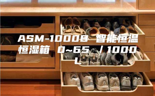 ASM-1000B 智能恒温恒湿箱 0~65℃／1000L