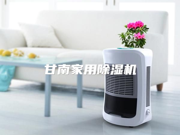 甘南家用除湿机