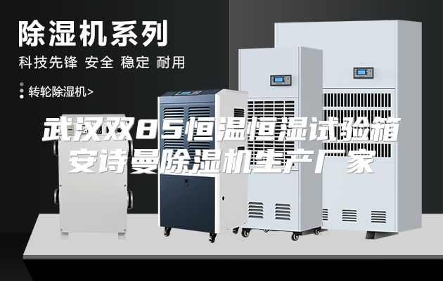 武汉双85恒温恒湿试验箱安诗曼除湿机生产厂家