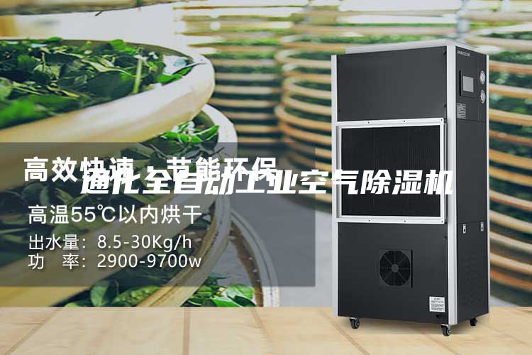 通化全自动工业空气除湿机