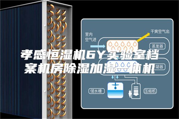 孝感恒湿机6Y实验室档案机房除湿加湿一体机