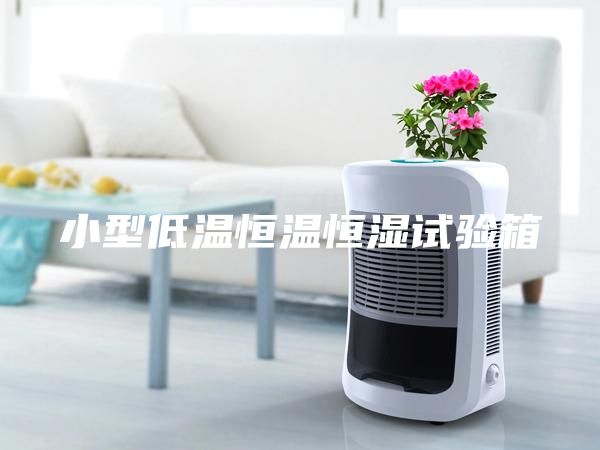小型低温恒温恒湿试验箱