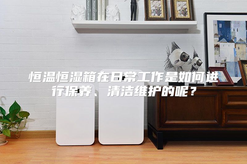 恒温恒湿箱在日常工作是如何进行保养、清洁维护的呢？