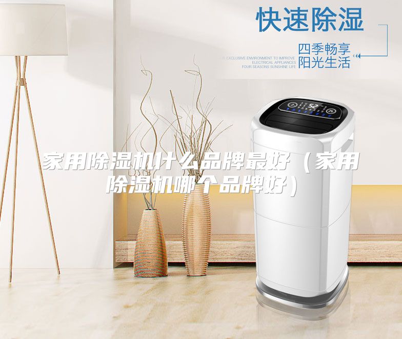 家用除湿机什么品牌最好（家用除湿机哪个品牌好）