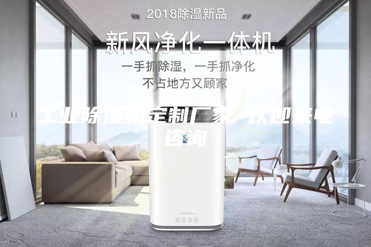 工业除湿机定制厂家 欢迎来电咨询