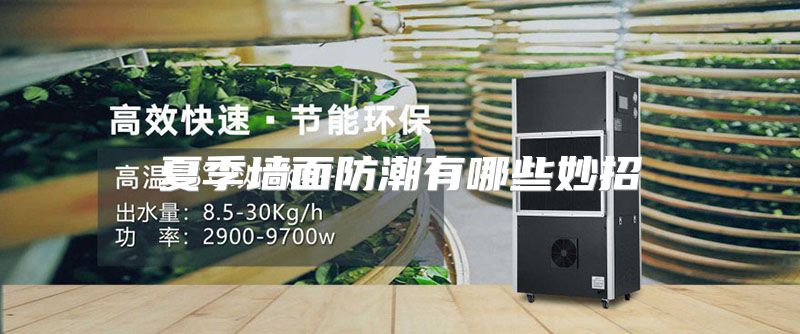 夏季墙面防潮有哪些妙招