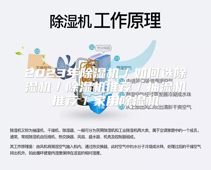 2023年除湿机／如何选除湿机／除湿机推荐／抽湿机推荐／家用除湿机