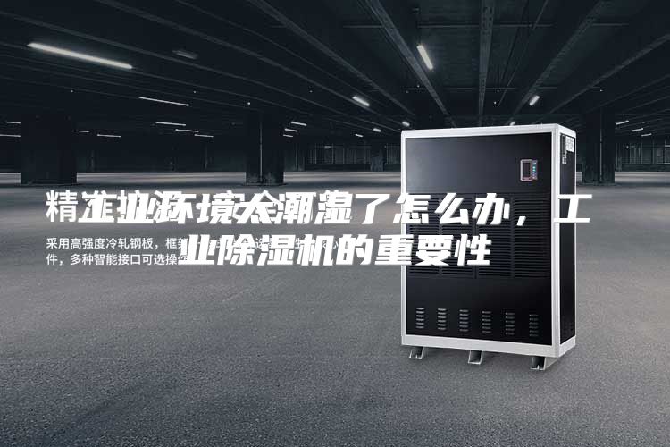 工业环境太潮湿了怎么办，工业除湿机的重要性