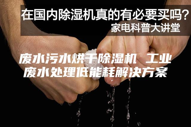 废水污水烘干除湿机 工业废水处理低能耗解决方案