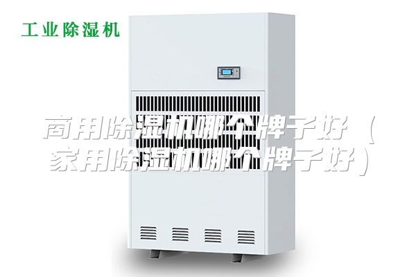 商用除湿机哪个牌子好（家用除湿机哪个牌子好）
