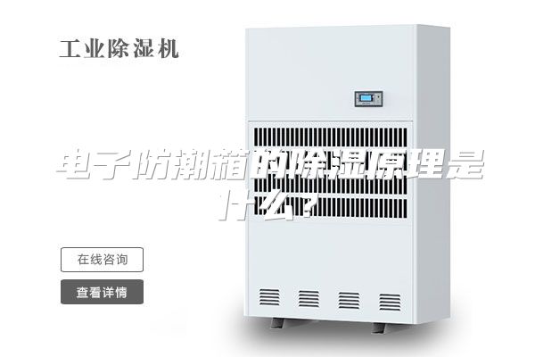 电子防潮箱的除湿原理是什么？