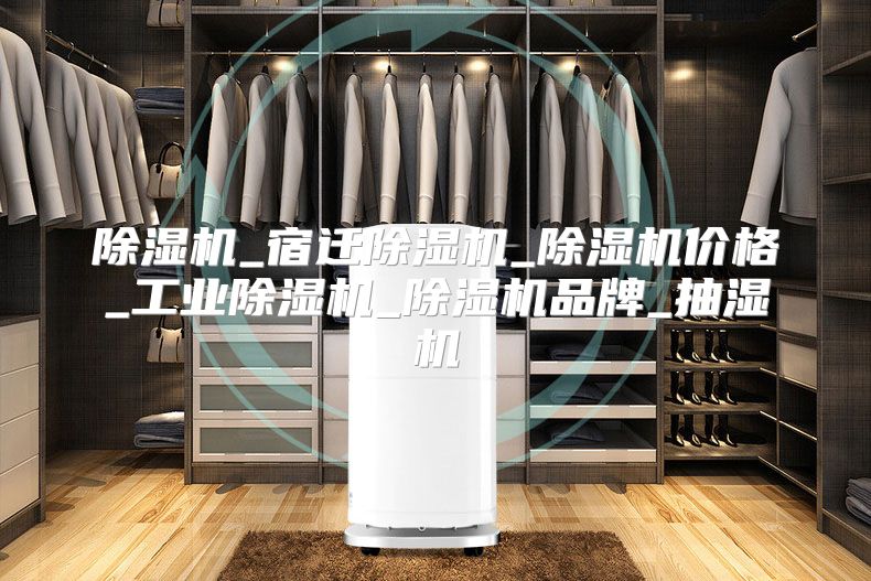 除湿机_宿迁除湿机_除湿机价格_工业除湿机_除湿机品牌_抽湿机