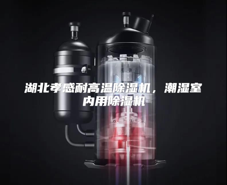 湖北孝感耐高温除湿机，潮湿室内用除湿机