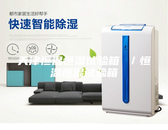 天津恒温恒湿试验箱 ／恒温恒湿试验箱