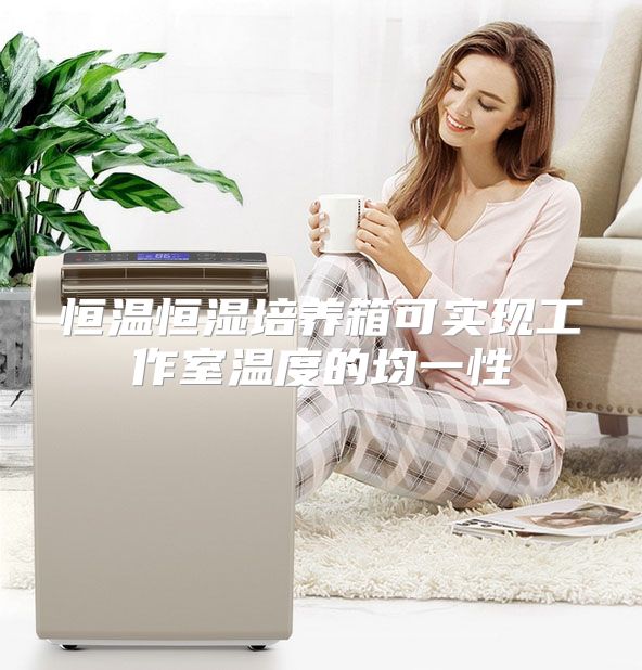恒温恒湿培养箱可实现工作室温度的均一性