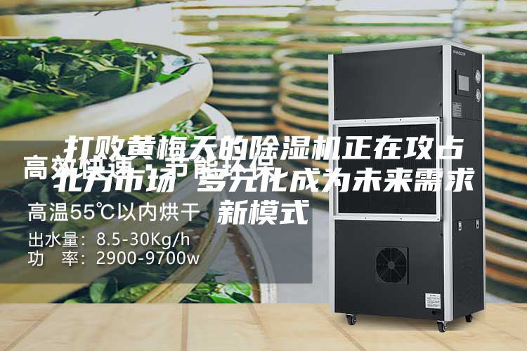 打败黄梅天的除湿机正在攻占北方市场 多元化成为未来需求新模式