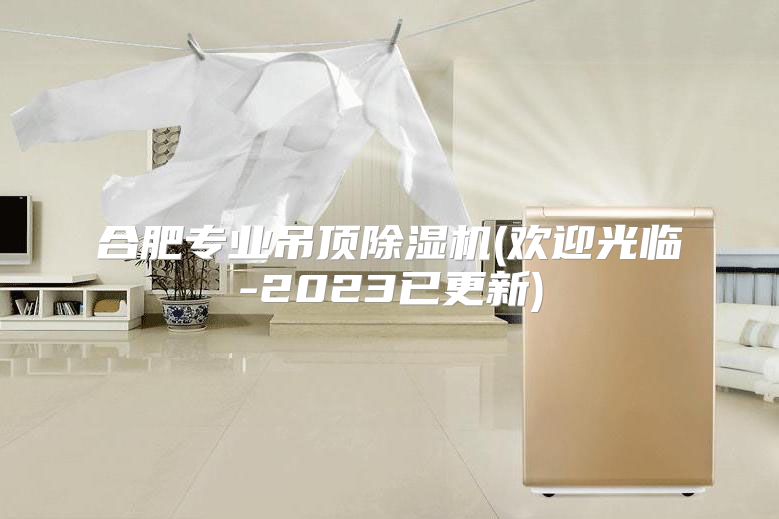 合肥专业吊顶除湿机(欢迎光临-2023已更新)